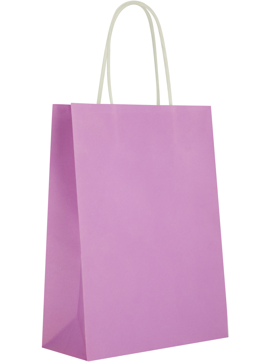 Assorted Solid Colour Paper Gift Bags (6)
