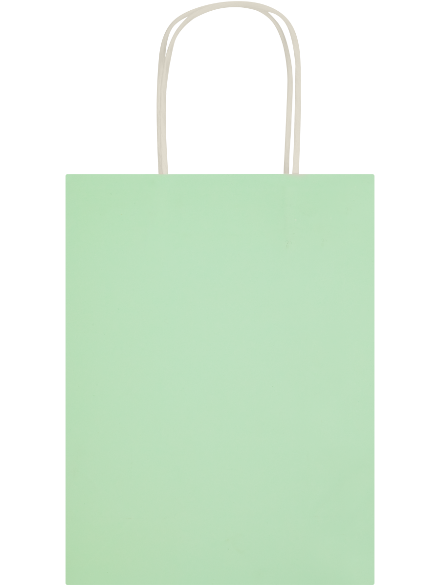 Assorted Solid Colour Paper Gift Bags (5)