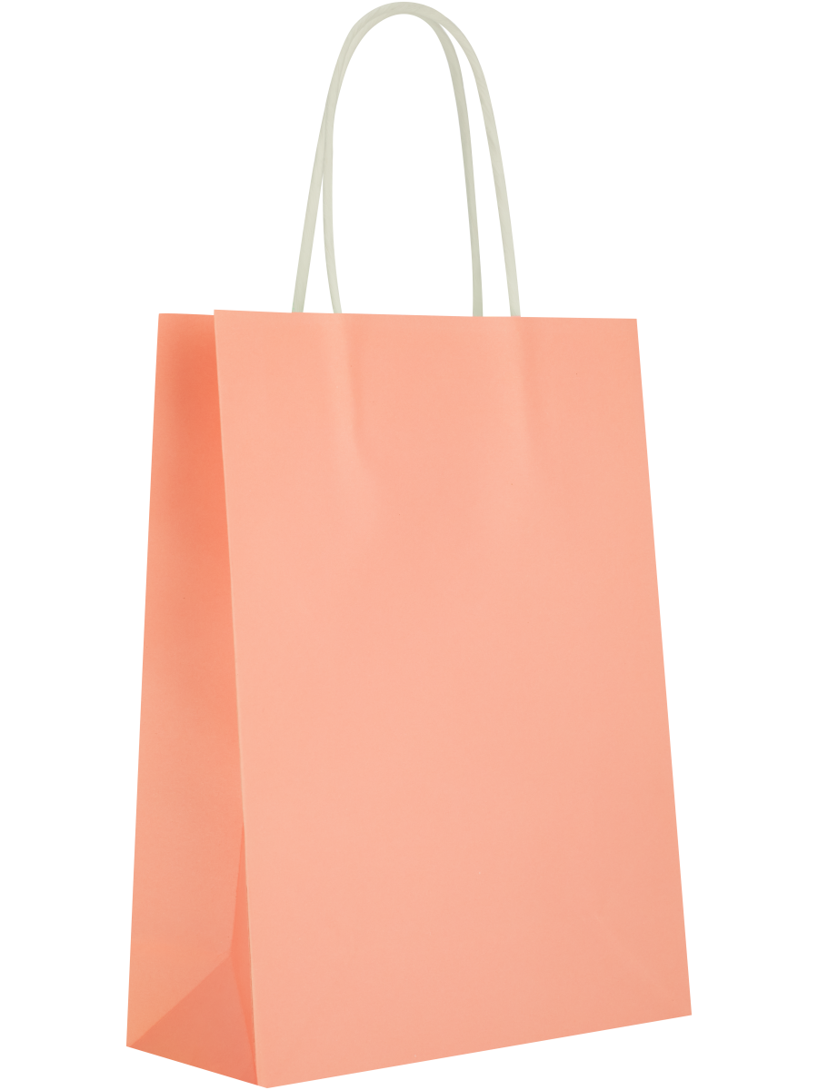 Assorted Solid Colour Paper Gift Bags (Design/Colour may vary) (16)