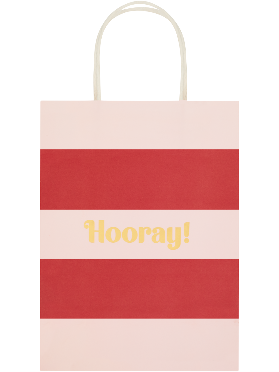 Assorted Hooray Paper Gift Bags (2)