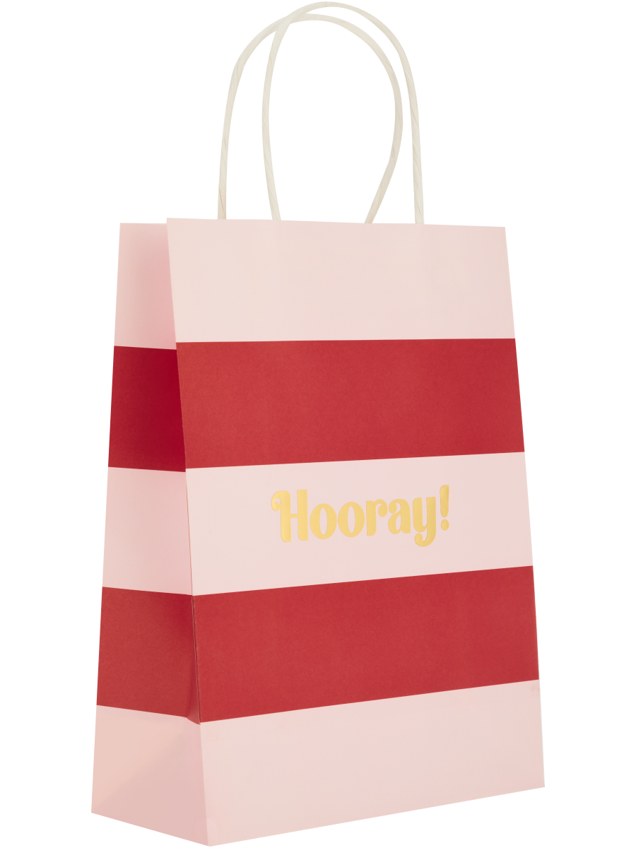 Assorted Hooray Paper Gift Bags (5)