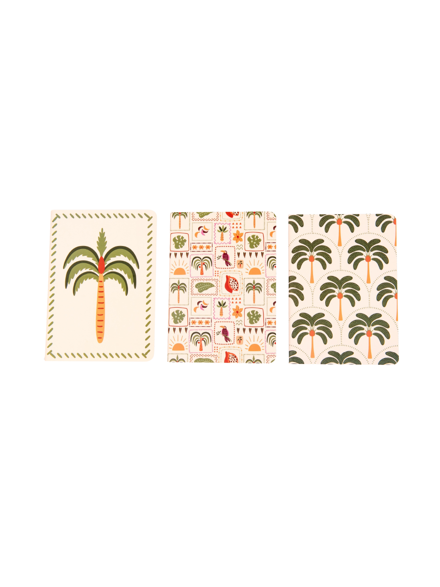 3 Pack Notebooks