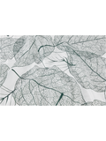 Leaf Shower Curtain (1)