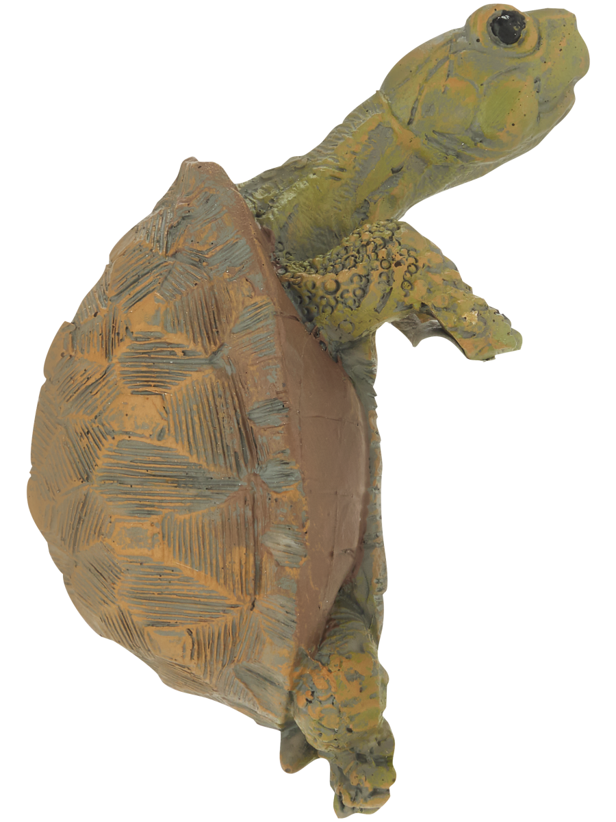 Tortoise Pot Plant Ornament