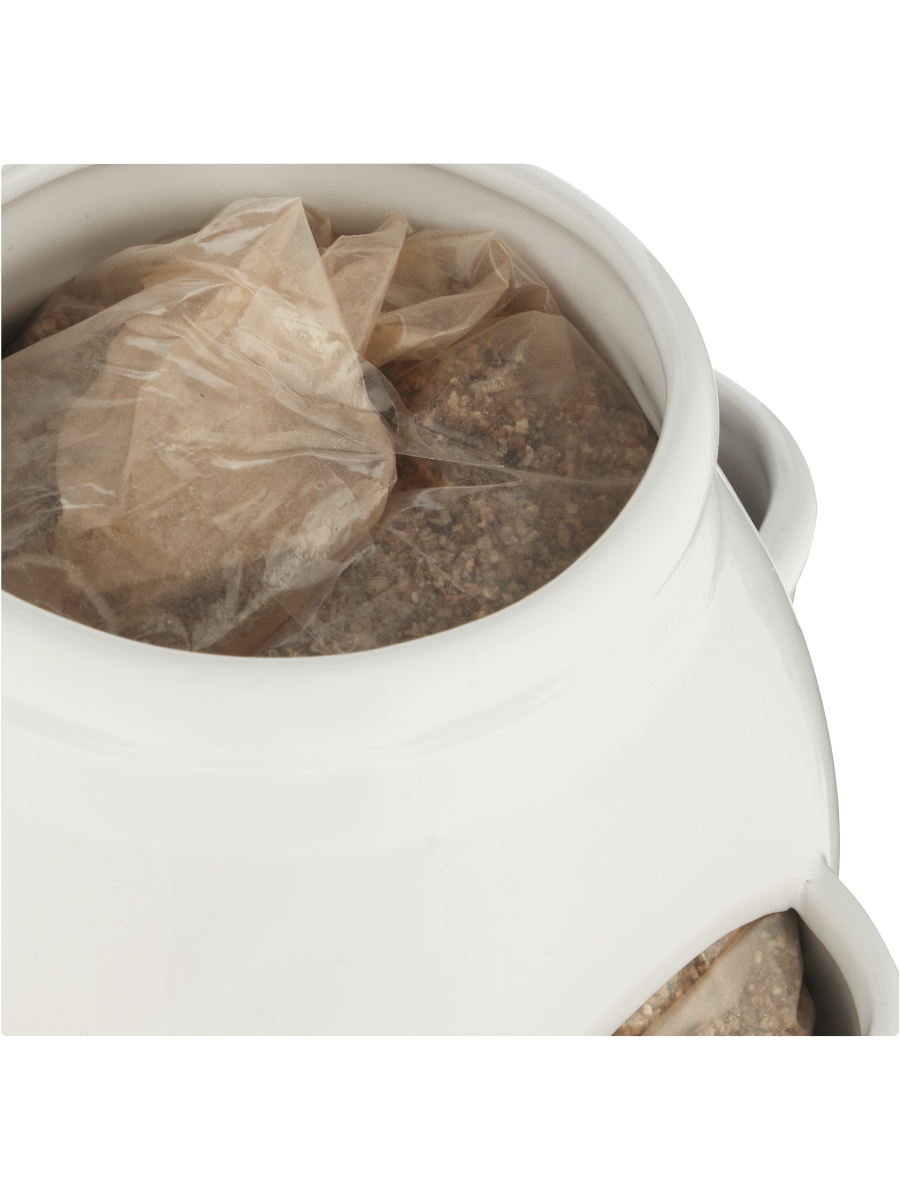 Ceramic Herb Pot