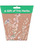 A Gift Of Trio Herbs