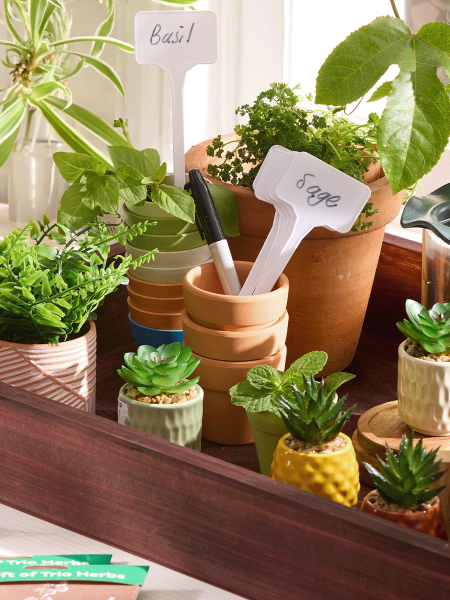 8 Piece Plant Markers