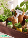 8 Piece Plant Markers
