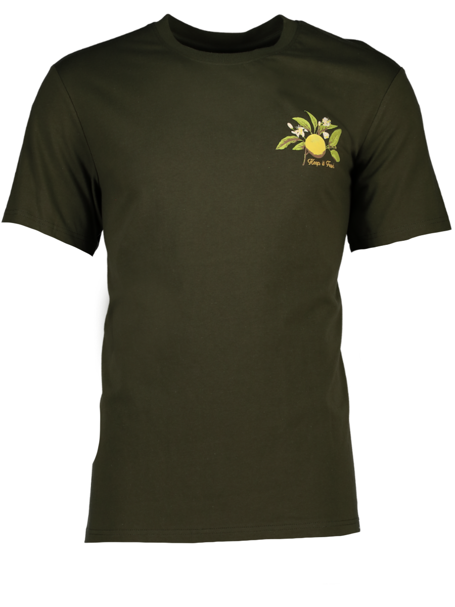 Olive Green Embroidered T-Shirt