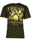 Olive Green Embroidered T-Shirt