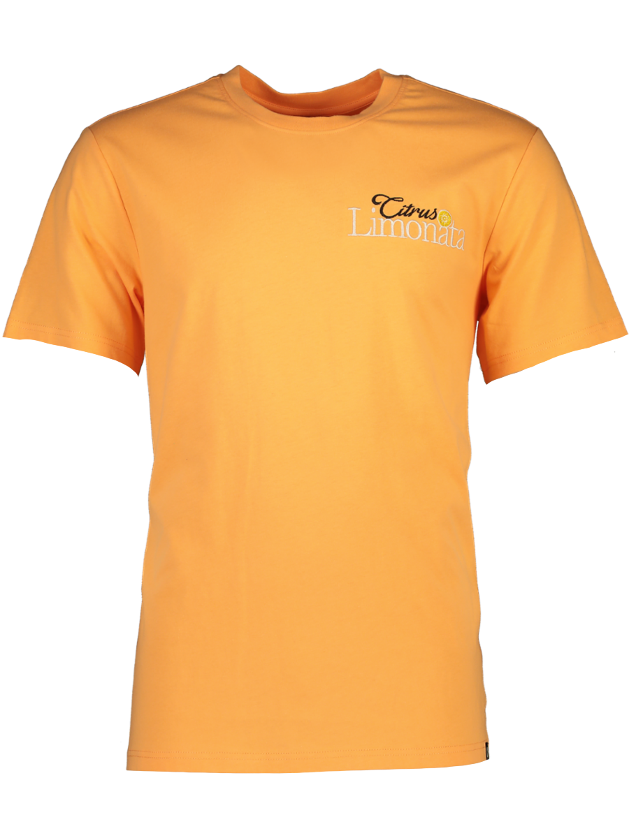 Orange Embroidered T-Shirt