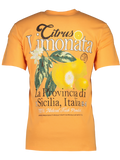 Orange Embroidered T-Shirt