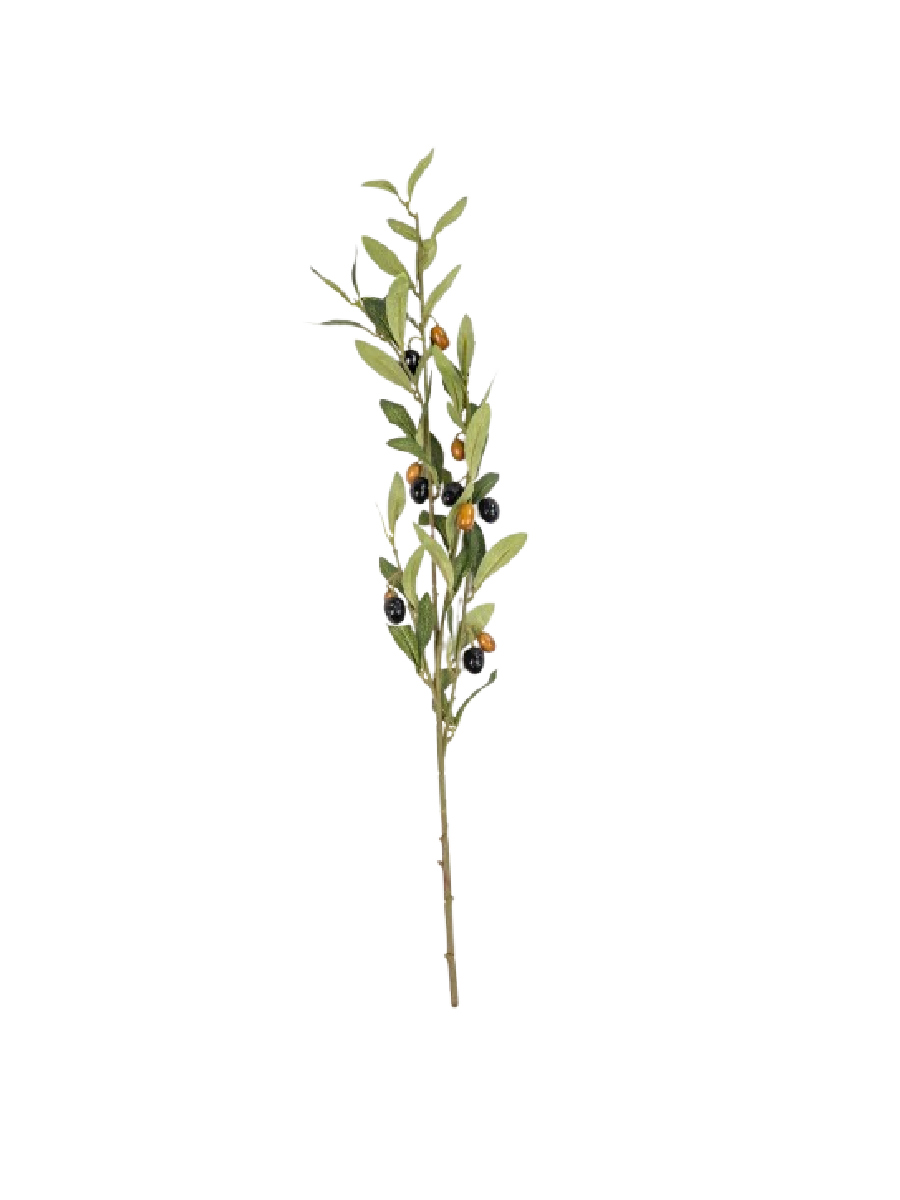 Foliage Plants