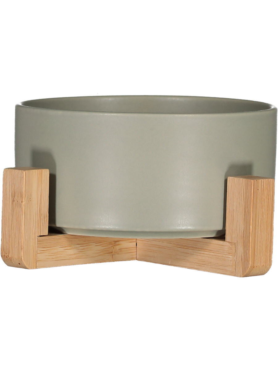 Pot On Wood Stand