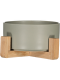 Pot On Wood Stand