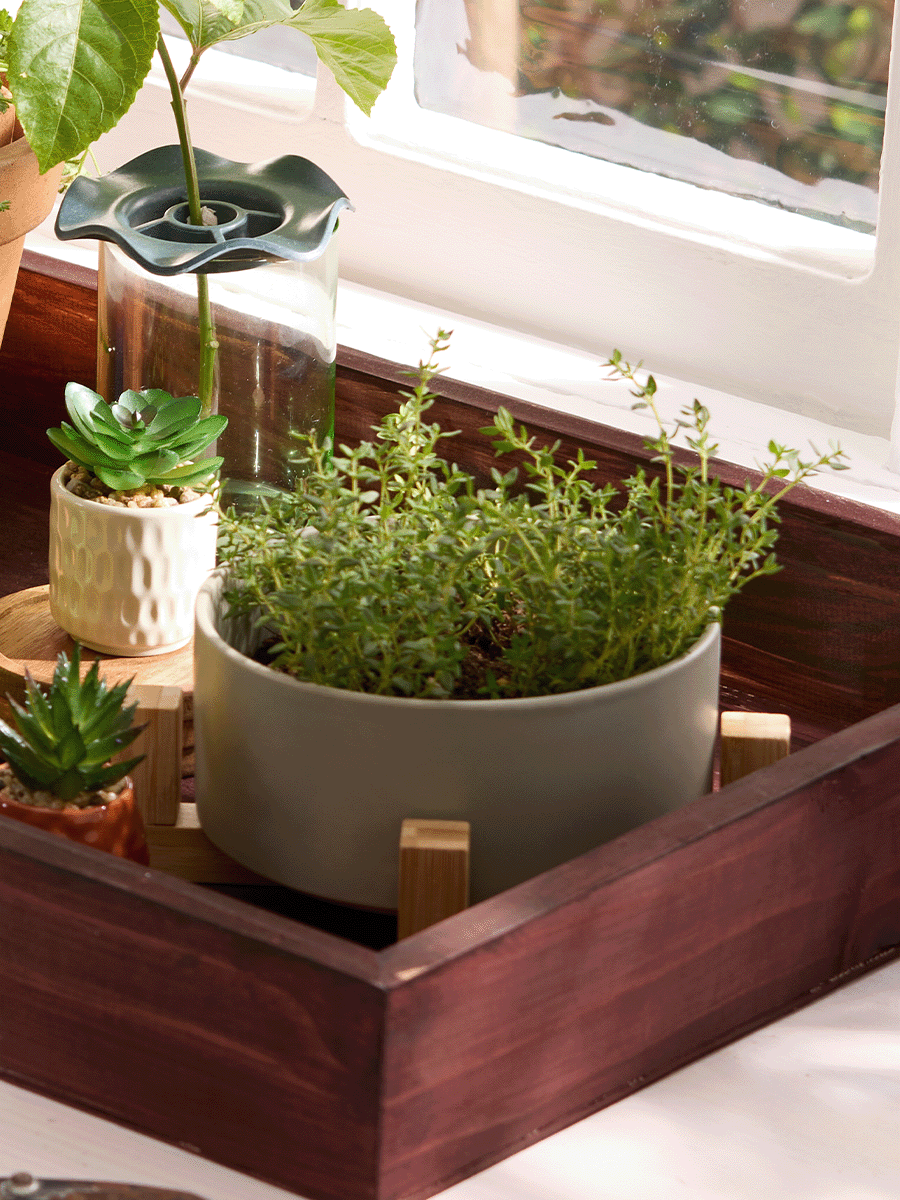 Pot On Wood Stand