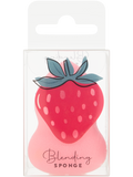 Blending Sponge (3)