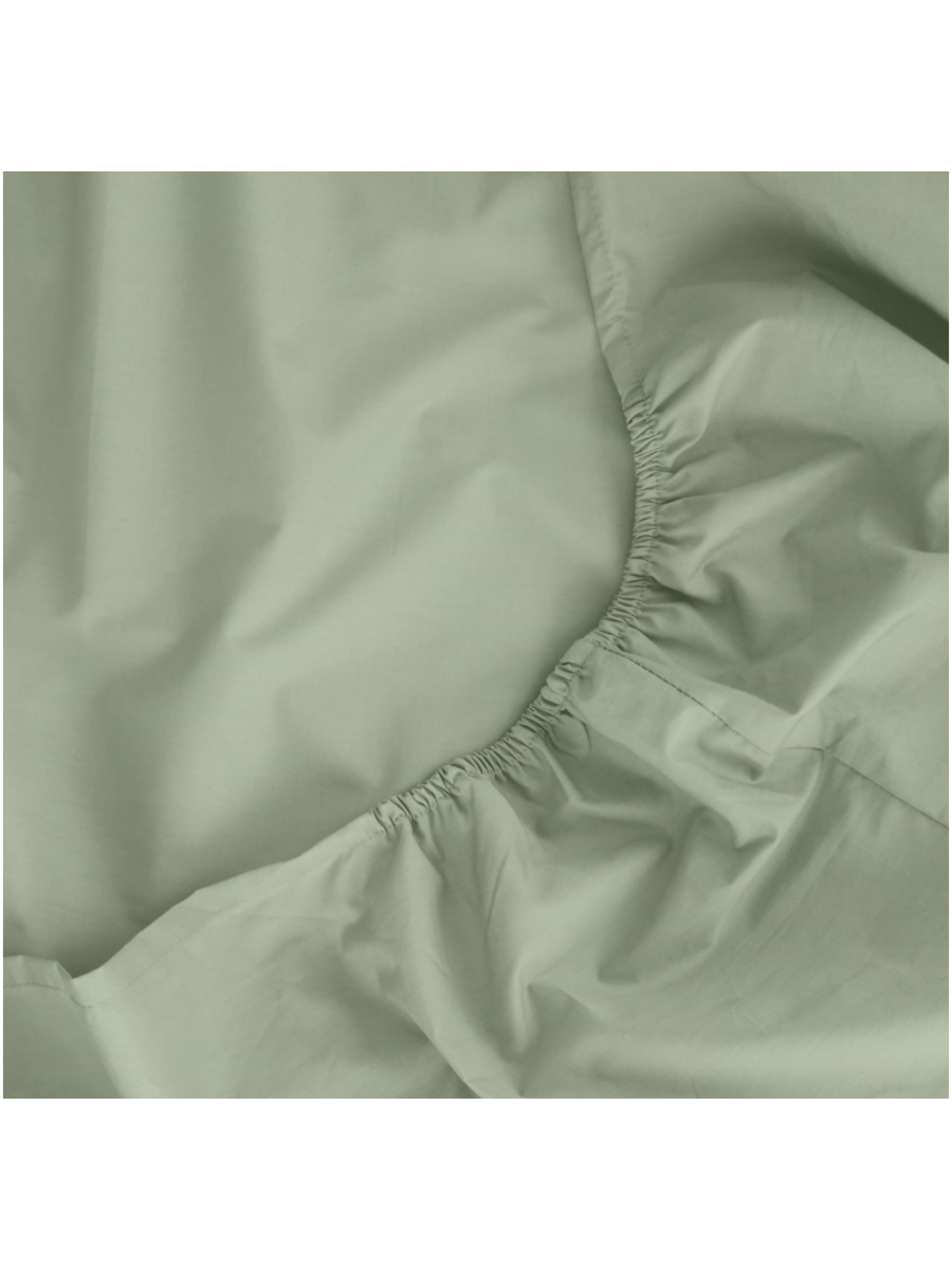 Cotton Rich Percale Fitted Sheet Double
