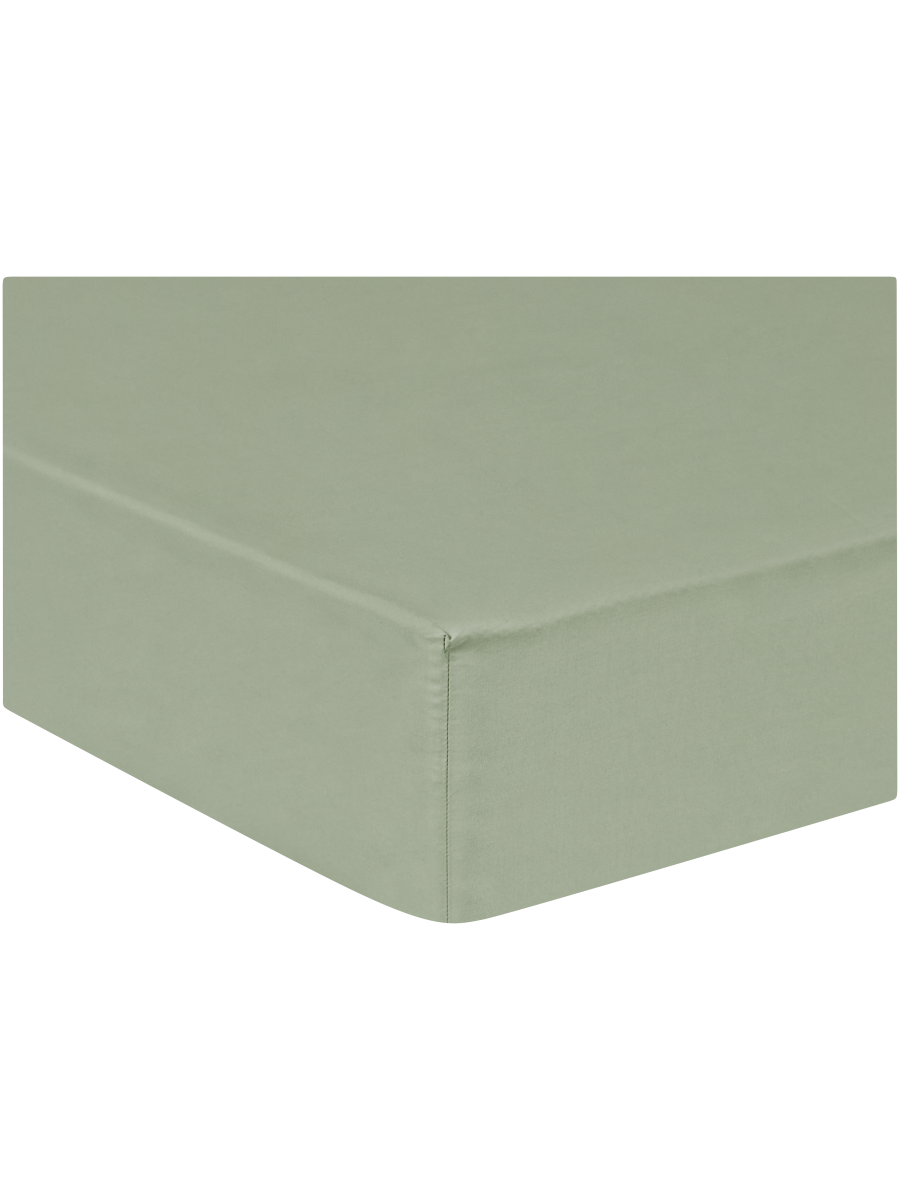 Cotton Rich Percale Fitted Sheet Double