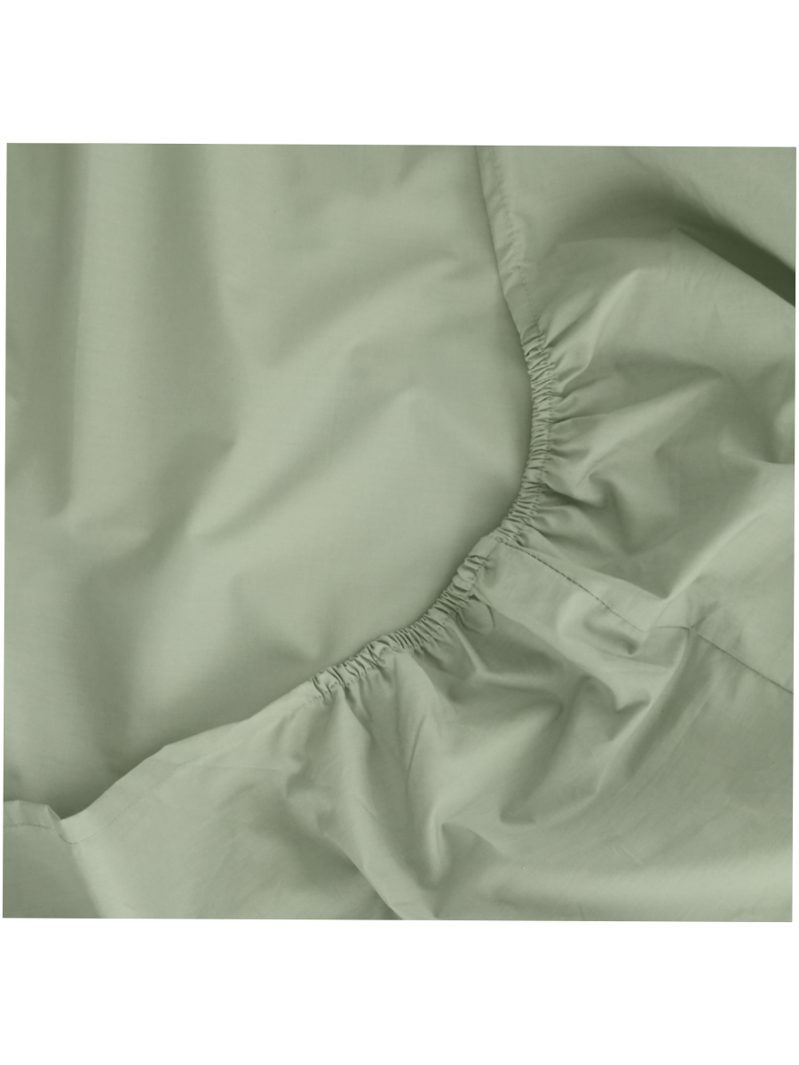 Cotton Rich Percale Fitted Sheet King