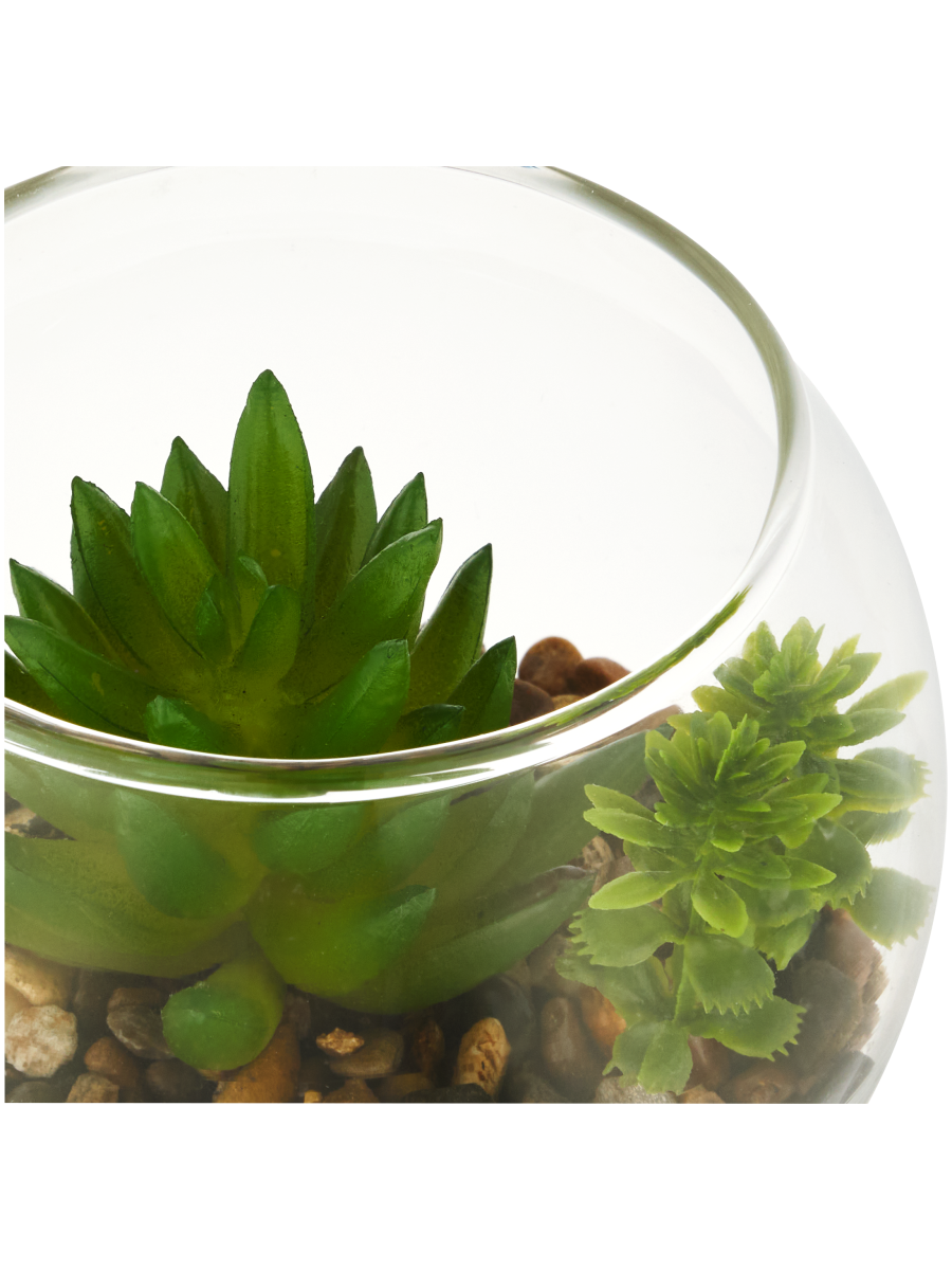 Glass Terrarium With Succulent