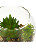 Glass Terrarium With Succulent (1)