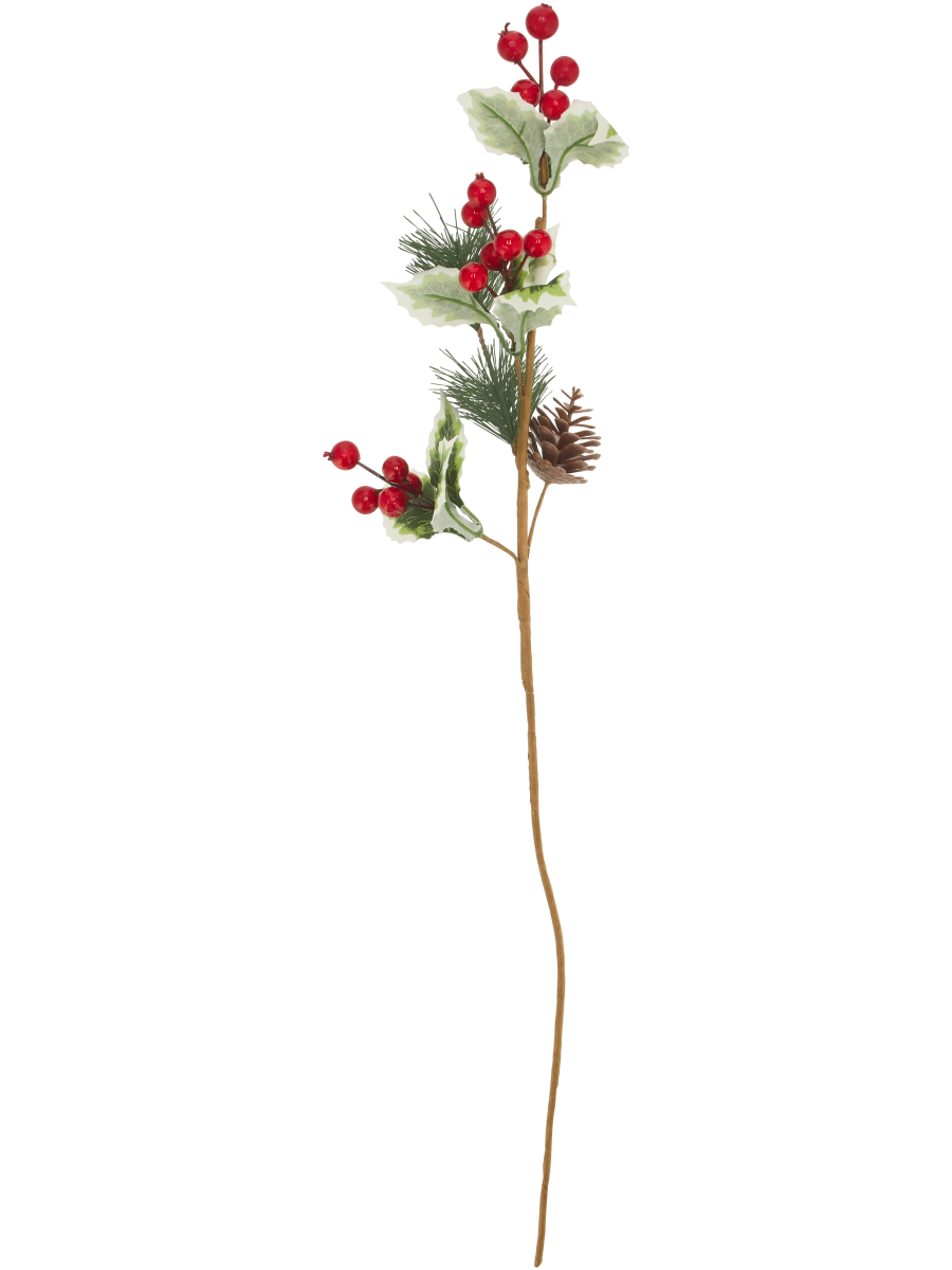 Berry Foliage