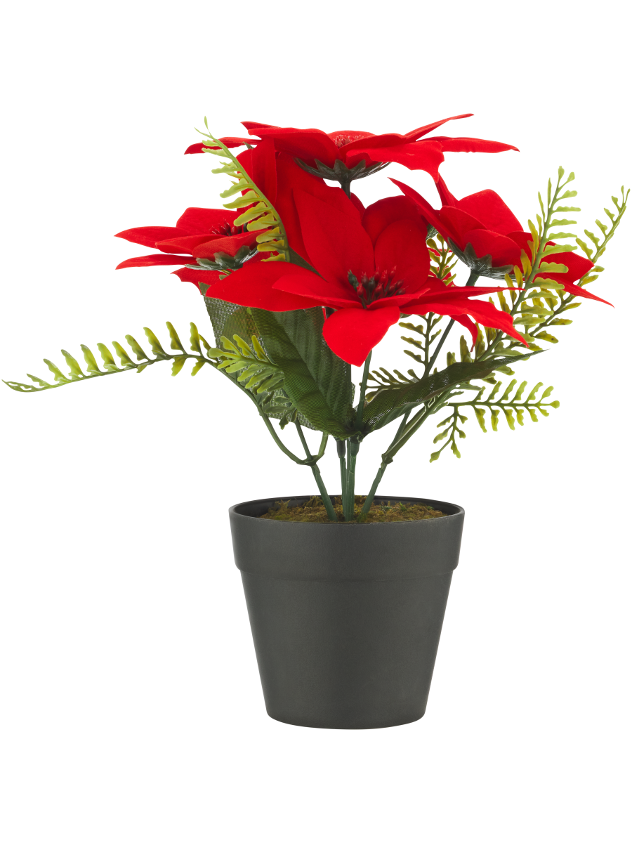 Poinsettia White and Red Artificial Flowers