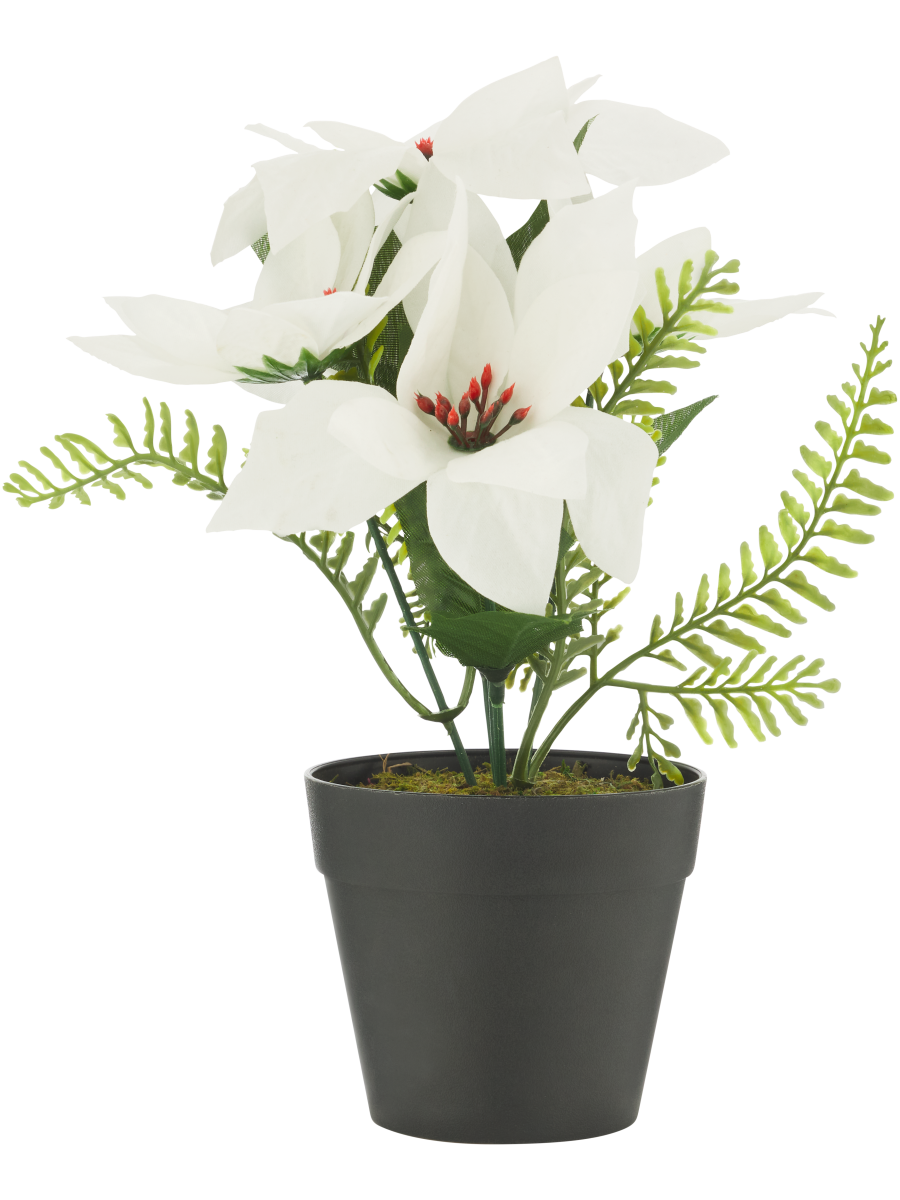 Poinsettia White and Red Artificial Flowers