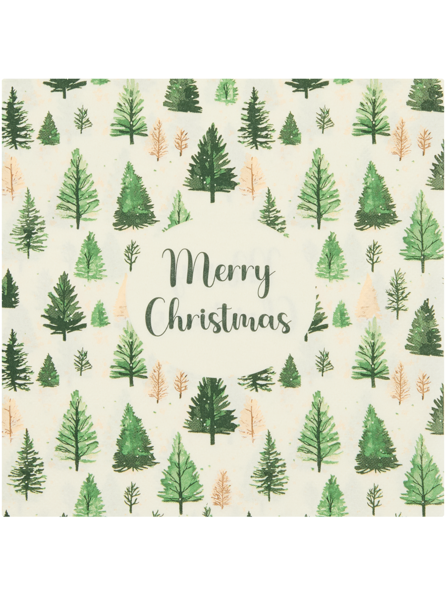 Two-Ply Christmas Themed Serviettes (2)