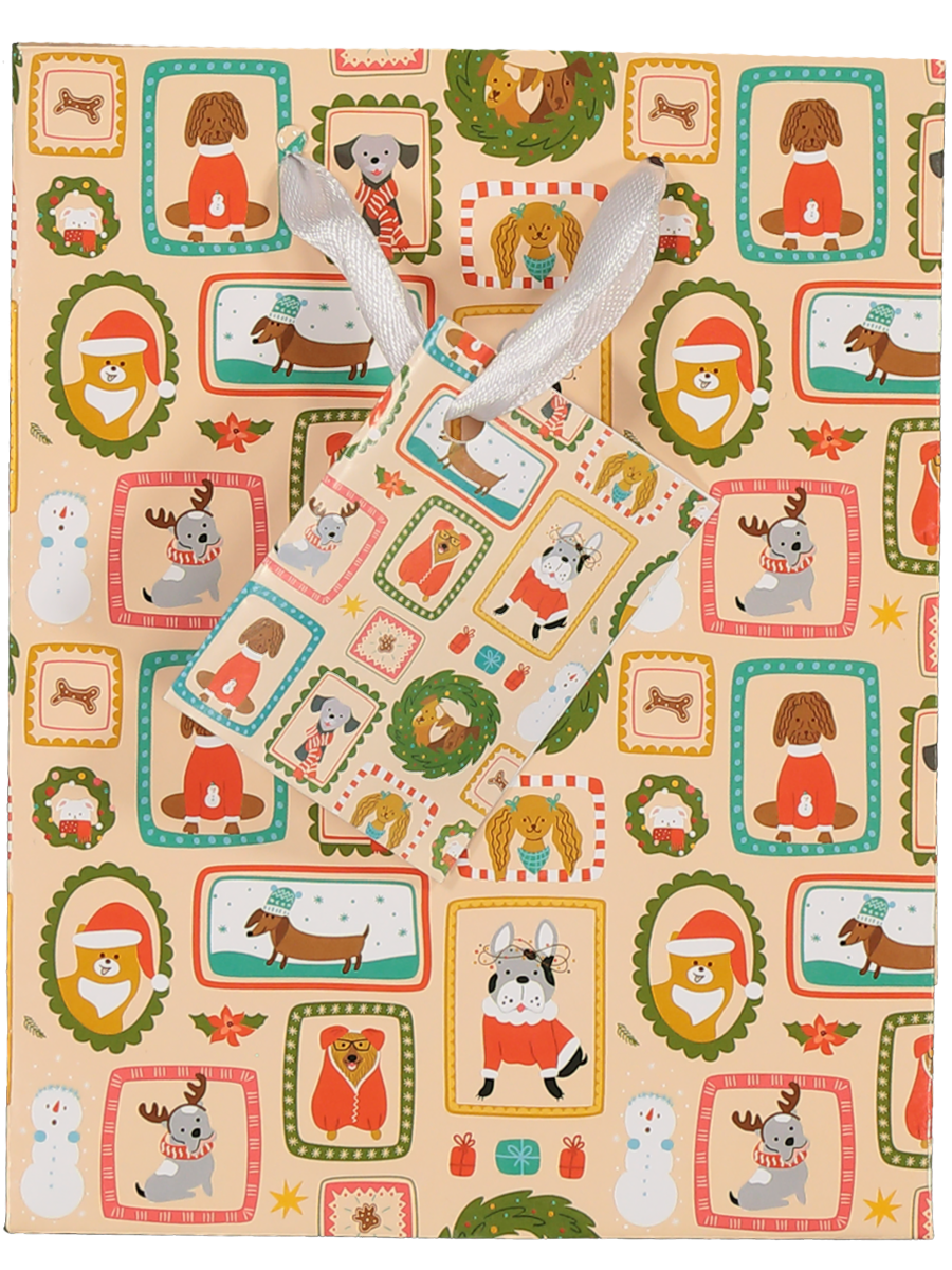 Small Christmas Gift Bag (Design/Colour may vary)