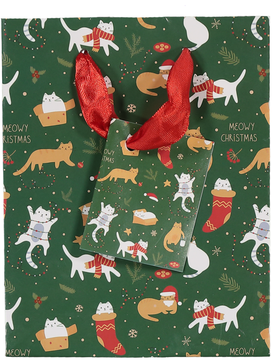 Small Christmas Gift Bag (Design/Colour may vary) (2)