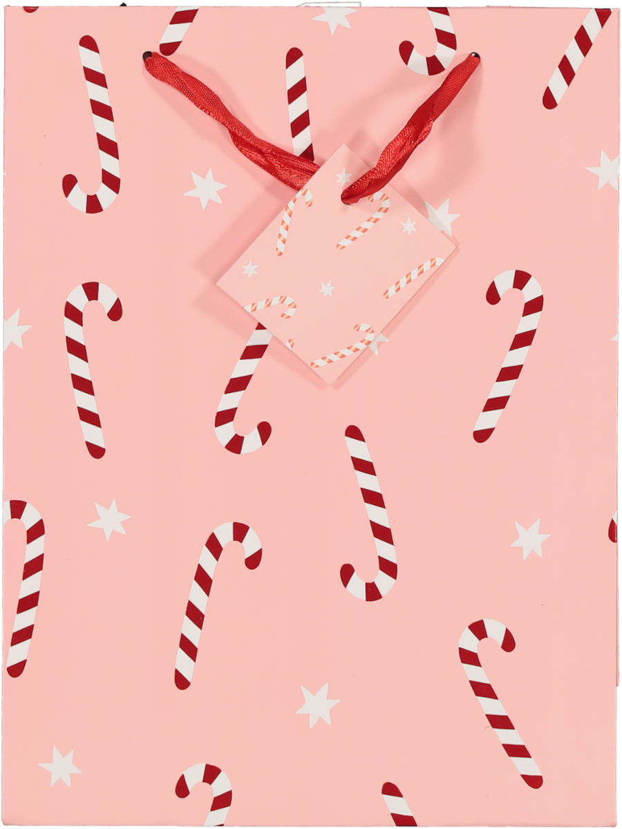 Medium Luxury Christmas Gift Bag