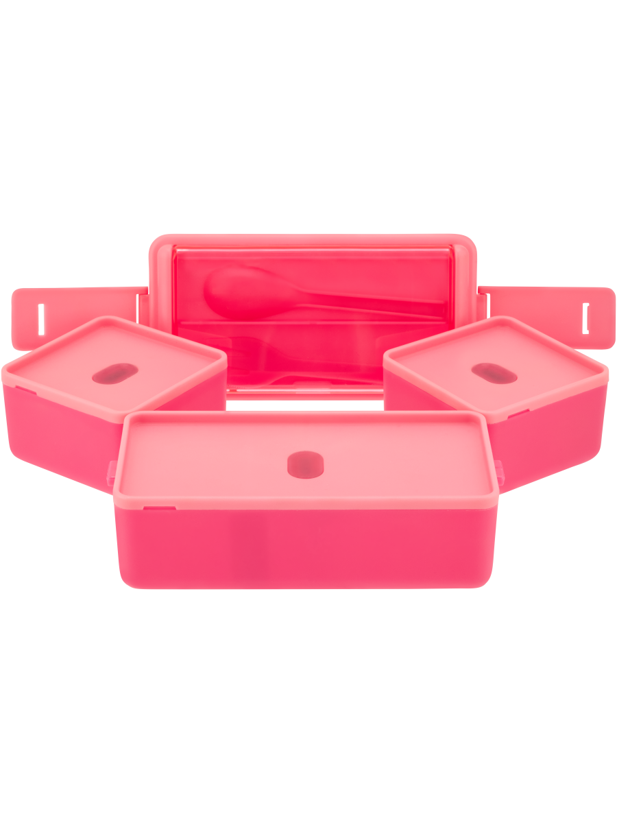 Multi-Compartment Lunch Box