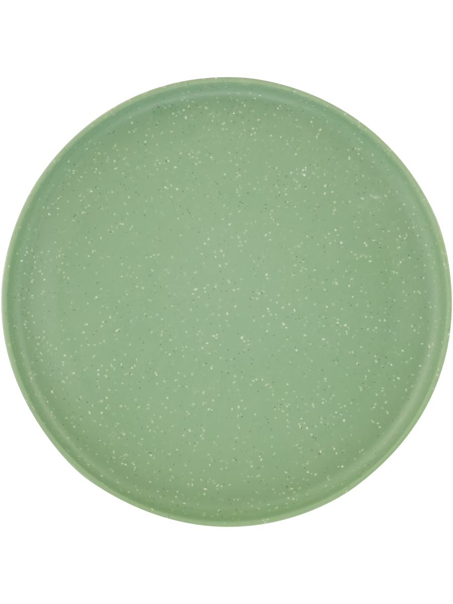 Picnic Plate