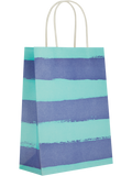 Assorted Broad Free Stripes Paper Gift Bags (6)
