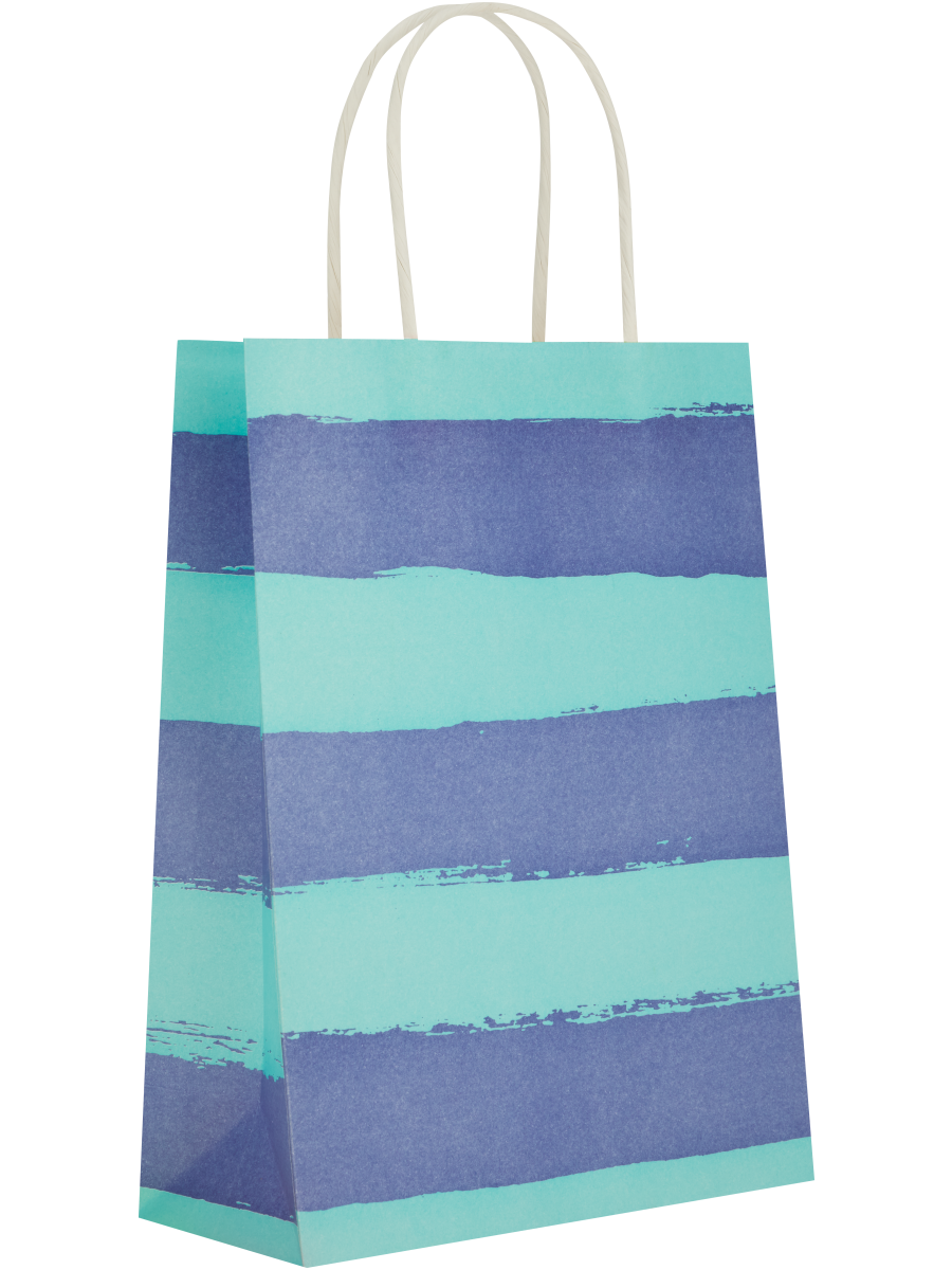 Assorted Broad Free Stripes Paper Gift Bags (6)