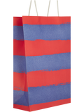 Assorted Broad Free Stripes Paper Gift Bags (5)