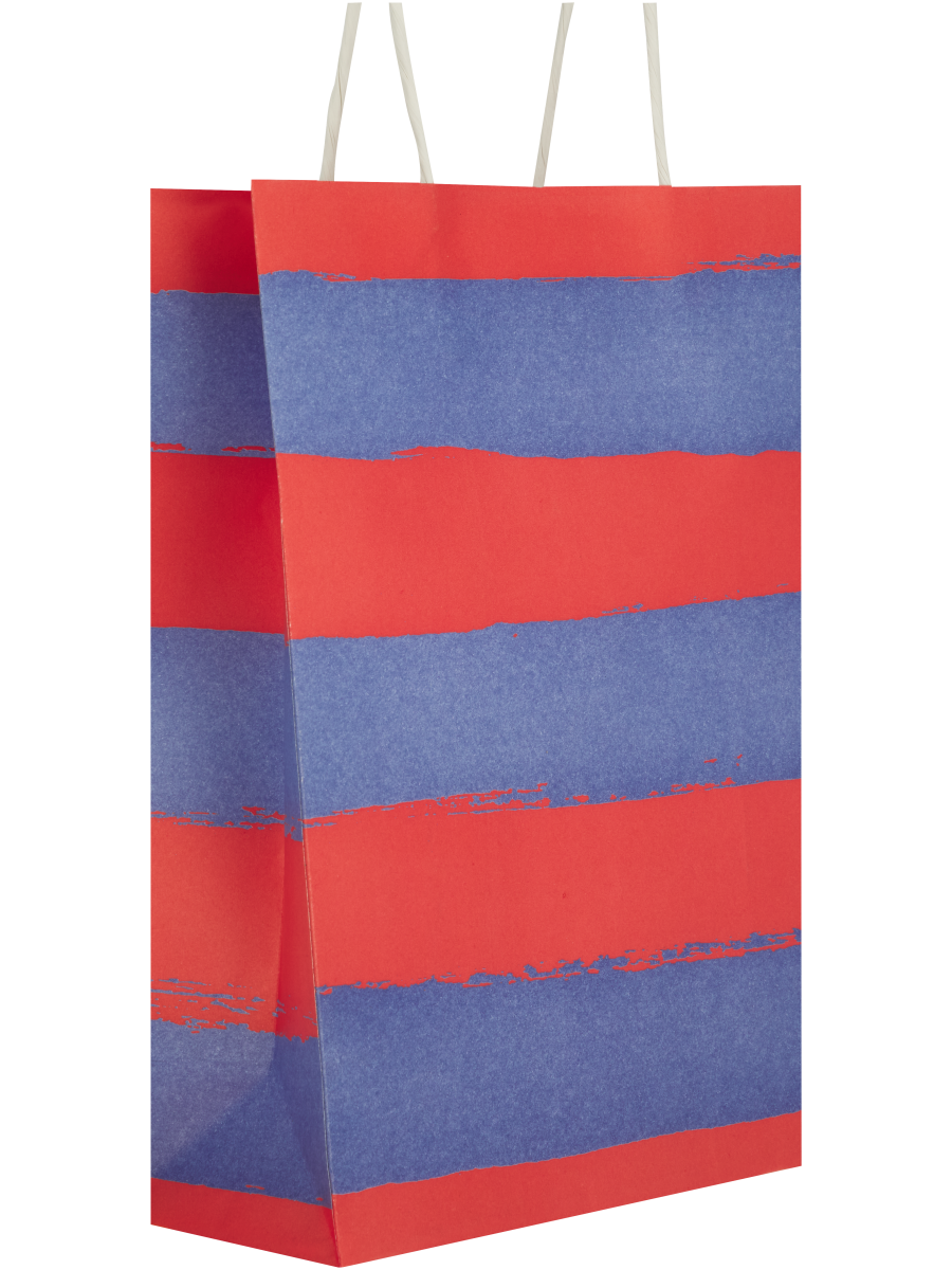 Assorted Broad Free Stripes Paper Gift Bags (5)
