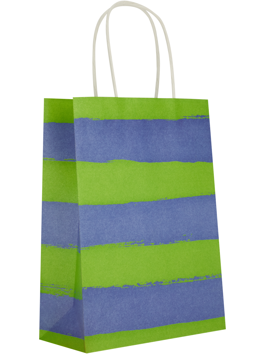 Assorted Broad Free Stripes Paper Gift Bags (4)