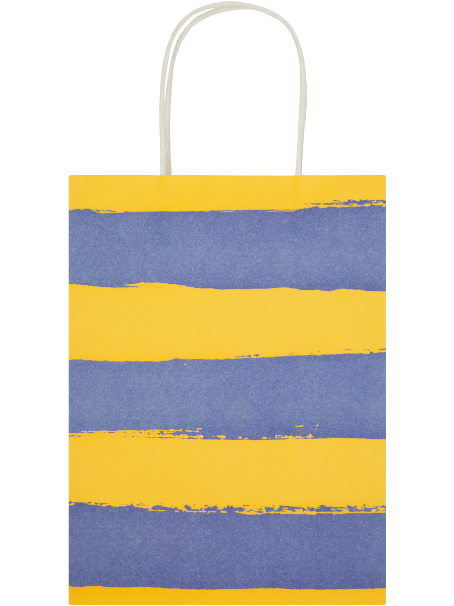 Assorted Broad Free Stripes Paper Gift Bags (2)