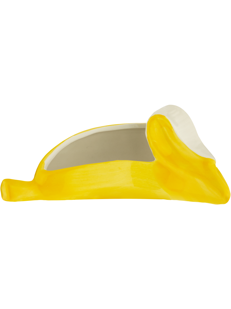Phone Stand