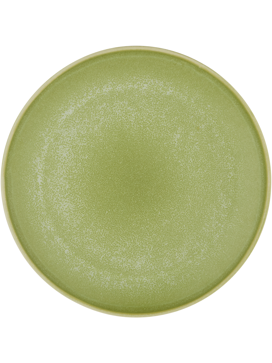 Speckled Dinner Plate