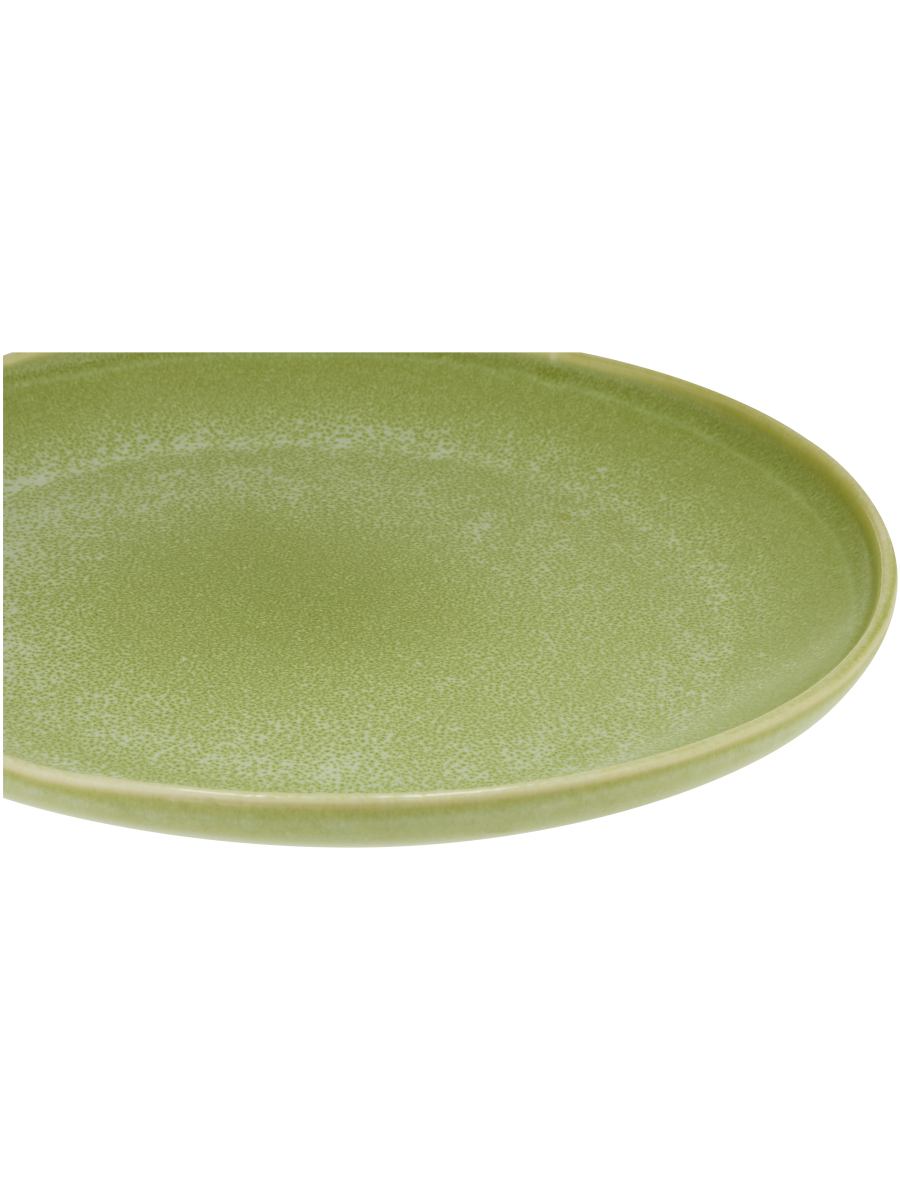 Speckled Dinner Plate