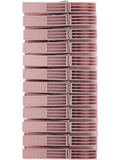 Plastic Pegs (2)