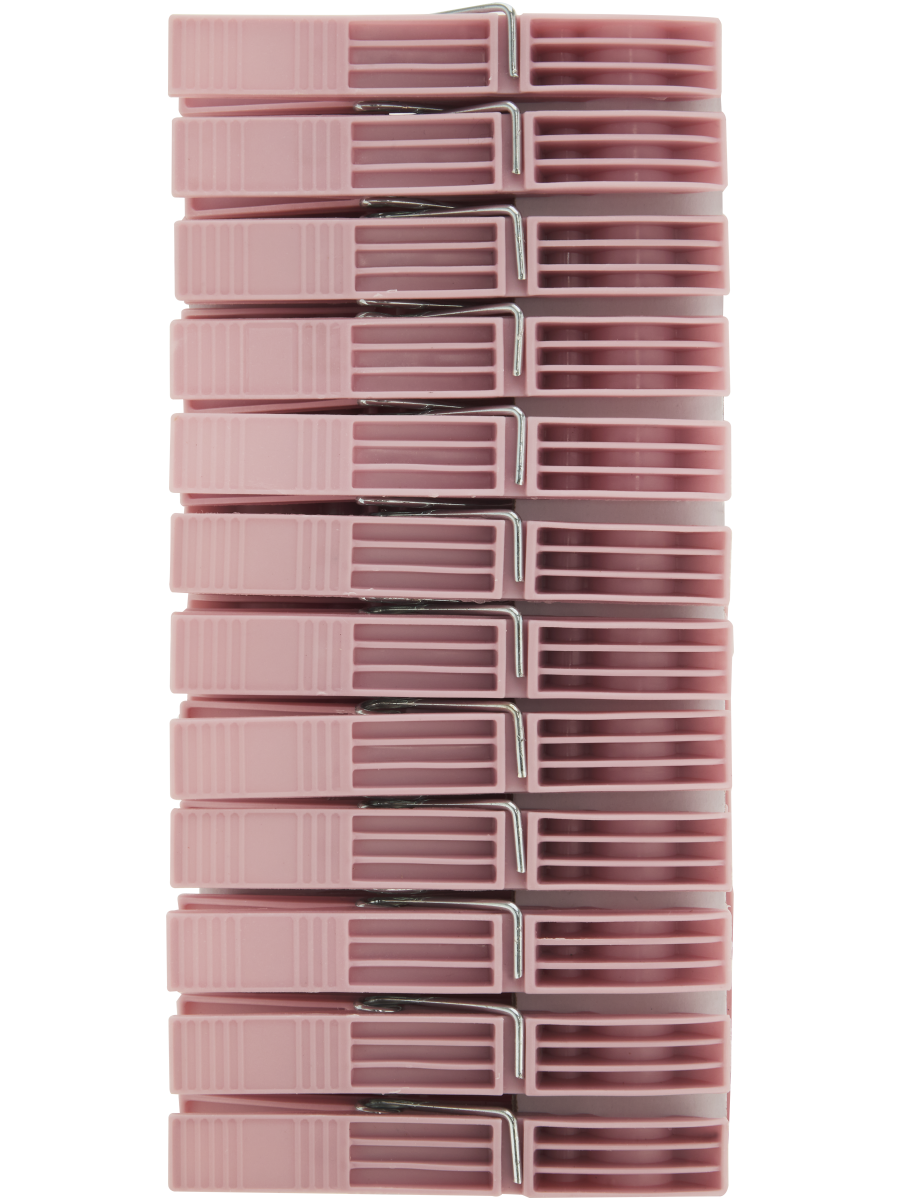 Plastic Pegs (2)