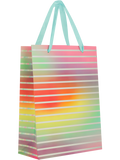 Colourful Gift Bag (3)