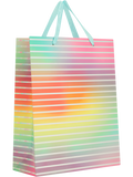 Colourful Gift Bag (3)