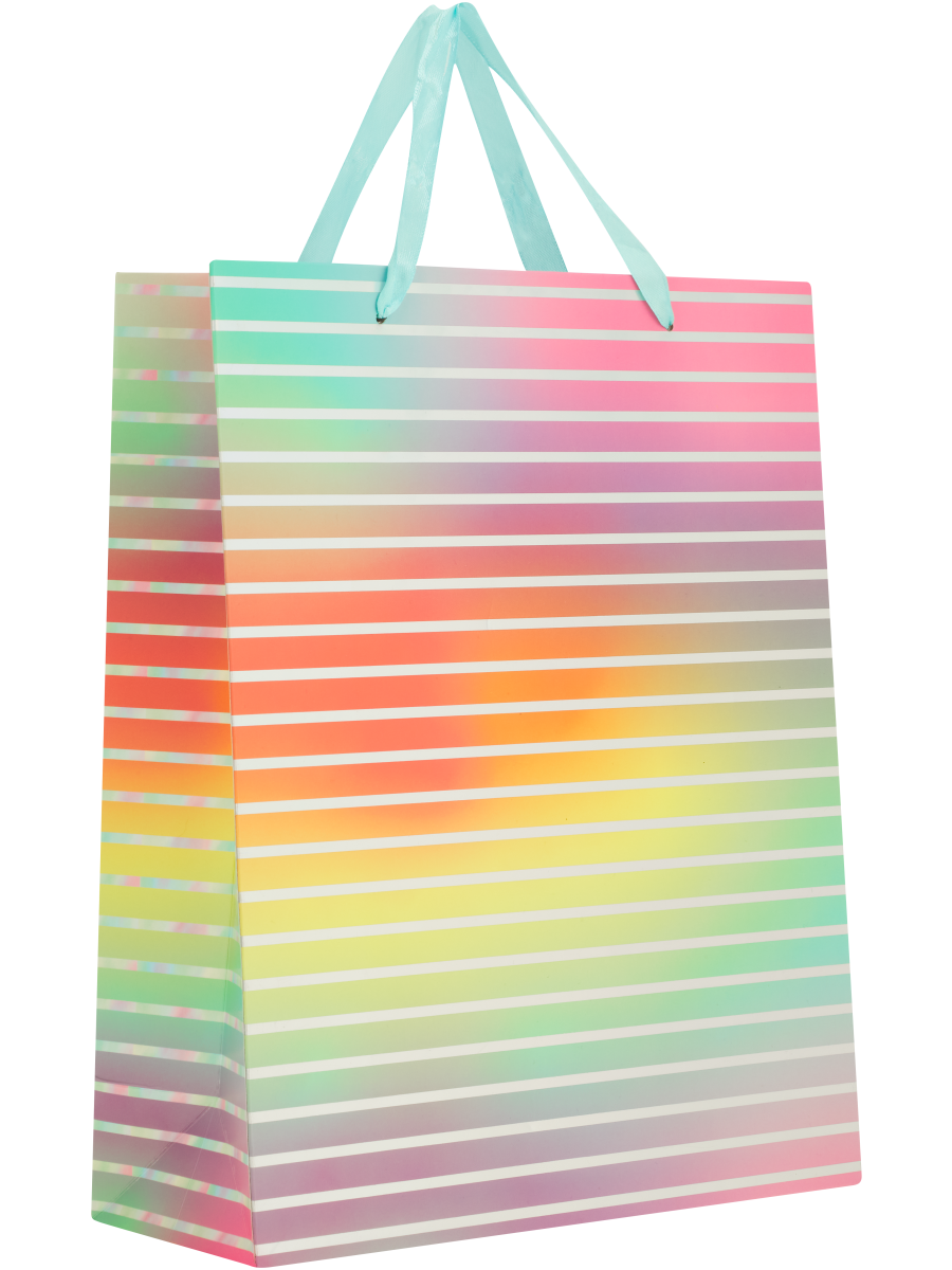 Colourful Gift Bag (3)