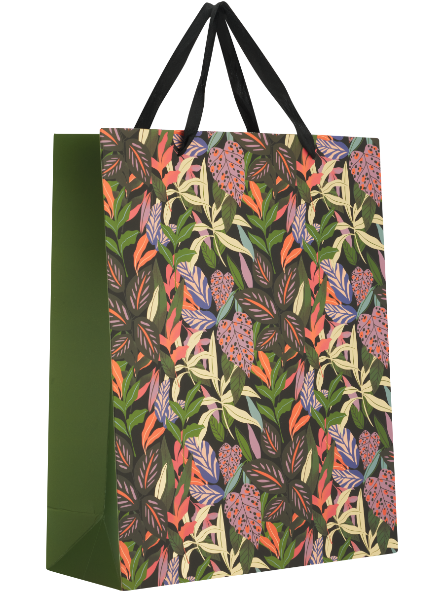 Colourful Gift Bag (2)